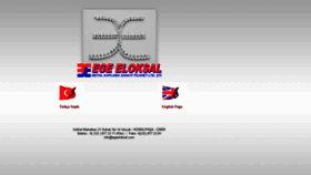 What Egeeloksal.com website looked like in 2019 (6 years ago)