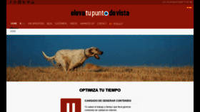 What Elevatupuntodevista.com website looked like in 2019 (4 years ago)