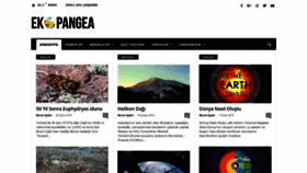 What Ekopangea.com website looked like in 2019 (4 years ago)