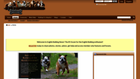 What Englishbulldognews.com website looked like in 2019 (4 years ago)