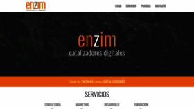 What Enzimdigital.com website looked like in 2019 (4 years ago)