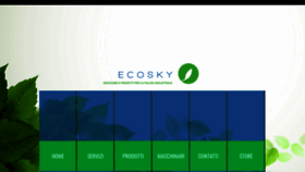 What Ecosky.it website looked like in 2019 (4 years ago)