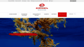 What Ecocean.fr website looked like in 2019 (4 years ago)