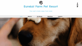 What Eurekafarm.com website looked like in 2019 (6 years ago)