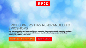 What Epicflowers.com website looked like in 2019 (4 years ago)