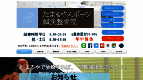 What E-tamaruya.jp website looked like in 2019 (4 years ago)