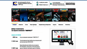 What Everestgroup.ru website looked like in 2019 (4 years ago)