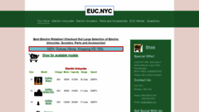 What Euc.nyc website looked like in 2019 (4 years ago)