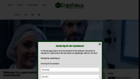 What Ergofokus.se website looked like in 2019 (4 years ago)