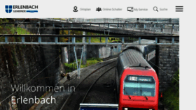 What Erlenbach.ch website looked like in 2019 (4 years ago)