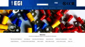 What Egisrl.it website looked like in 2019 (4 years ago)