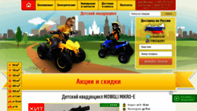 What E-kvadrocikl.ru website looked like in 2019 (4 years ago)