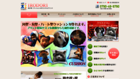 What E-irodori.jp website looked like in 2019 (4 years ago)