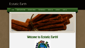 What Ecstaticearthstore.com website looked like in 2019 (4 years ago)