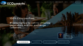 What Ecosmarte.com website looked like in 2019 (5 years ago)
