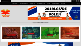 What Enbasariliokullar.com website looked like in 2019 (4 years ago)