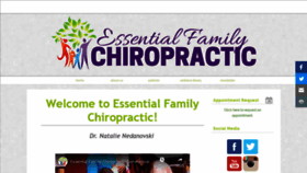 What Efchiropractic.com website looked like in 2019 (4 years ago)