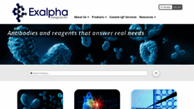 What Exalpha.com website looked like in 2019 (4 years ago)