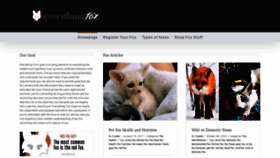 What Everythingfox.com website looked like in 2019 (4 years ago)