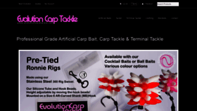 What Evolutioncarptackle.com website looked like in 2019 (4 years ago)