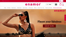 What Enamor.co.in website looked like in 2019 (4 years ago)