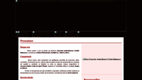 What Executor-pitesti.ro website looked like in 2019 (4 years ago)