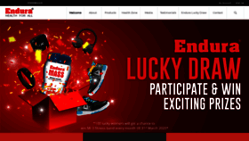 What Endurasupplements.com website looked like in 2019 (4 years ago)