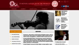 What Evrenselsanatlar.com website looked like in 2019 (4 years ago)