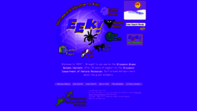 What Eekwi.org website looked like in 2019 (4 years ago)