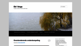 What Elsvanswol.nl website looked like in 2019 (4 years ago)