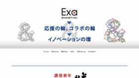 What Exa2011.net website looked like in 2020 (4 years ago)