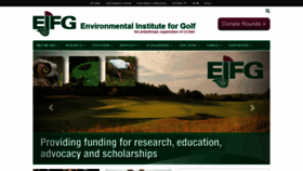 What Eifg.org website looked like in 2020 (4 years ago)