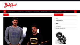 What Experience.bobross.com website looked like in 2020 (4 years ago)