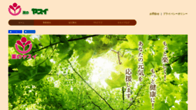 What E-kusuri.info website looked like in 2020 (4 years ago)