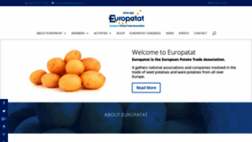 What Europatat.eu website looked like in 2020 (4 years ago)