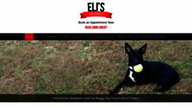 What Elisfriends.org website looked like in 2020 (4 years ago)