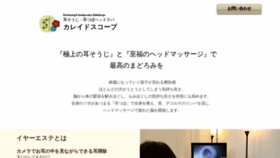 What Earcleaning.jp website looked like in 2020 (4 years ago)