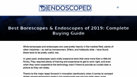 What Endoscoped.com website looked like in 2020 (4 years ago)
