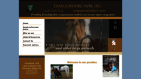 What Evanamooredvm.com website looked like in 2020 (4 years ago)