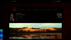 What Empirehomesandland.com website looked like in 2020 (4 years ago)