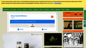 What Ekologia.pl website looked like in 2020 (5 years ago)