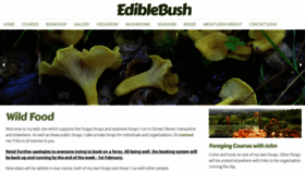 What Ediblebush.com website looked like in 2020 (4 years ago)