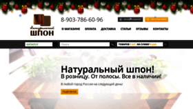 What E-shpon.ru website looked like in 2020 (4 years ago)