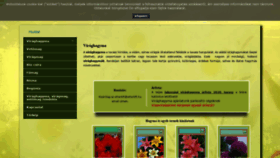 What Etterkft.hu website looked like in 2020 (4 years ago)