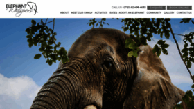 What Elephantwhispers.co.za website looked like in 2020 (4 years ago)