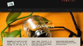 What Eurovanille.com website looked like in 2020 (4 years ago)