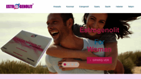 What Estrogenolit.com.tr website looked like in 2020 (4 years ago)