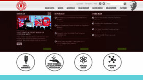 What Enerji.gov.tr website looked like in 2020 (5 years ago)