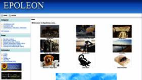 What Epoleon.com website looked like in 2020 (4 years ago)
