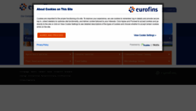 What Eurofinsus.com website looked like in 2020 (4 years ago)